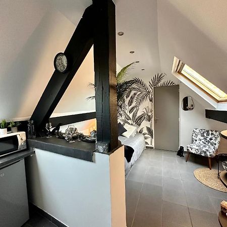 Studio Chaleureux Hypercentre Amiens Exterior foto