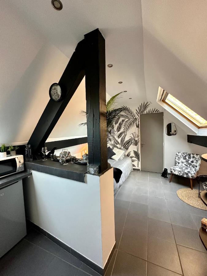 Studio Chaleureux Hypercentre Amiens Exterior foto
